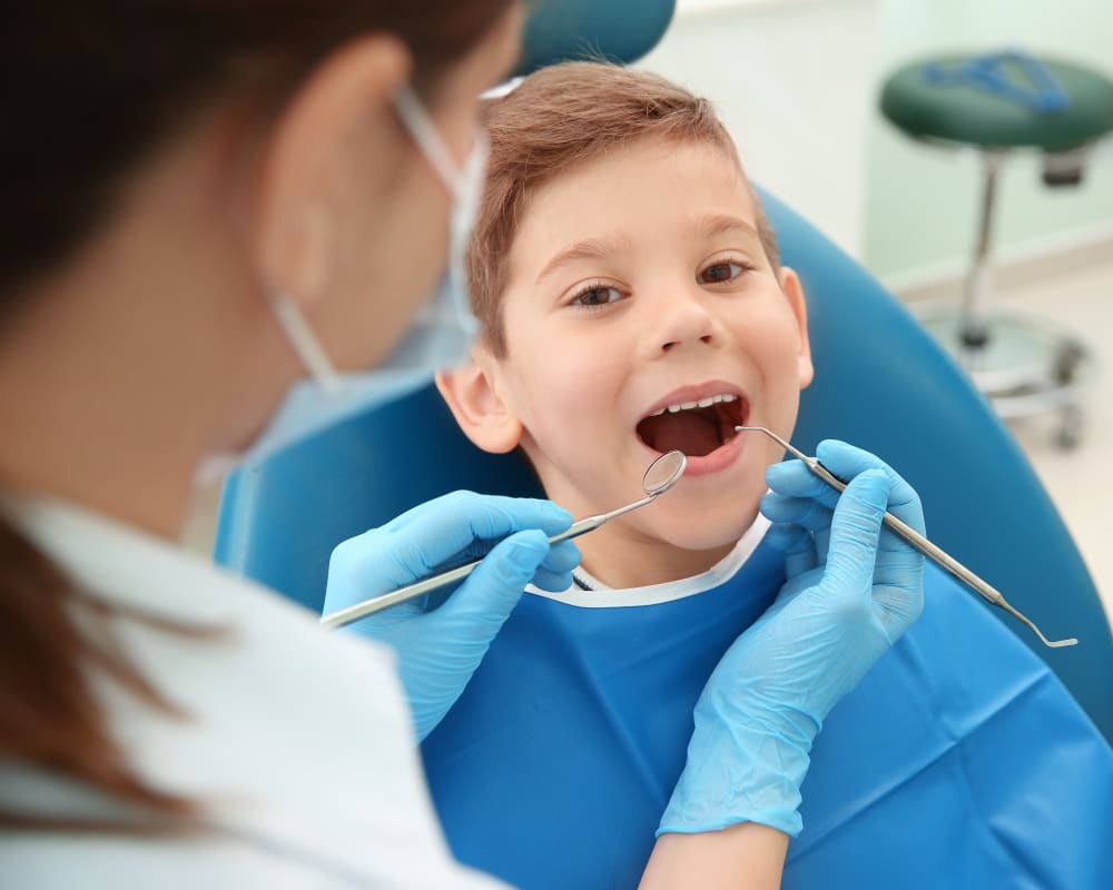 Dental Fillings, Greater Toronto Area Dentist